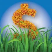 Landscaping Estimator